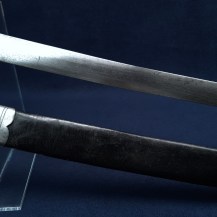 British Indian Short Sabre, pre-1855 - 3